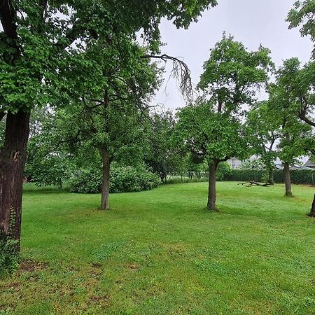 Eifelhof Mit Obstbaumwiese Нідеґґен Екстер'єр фото
