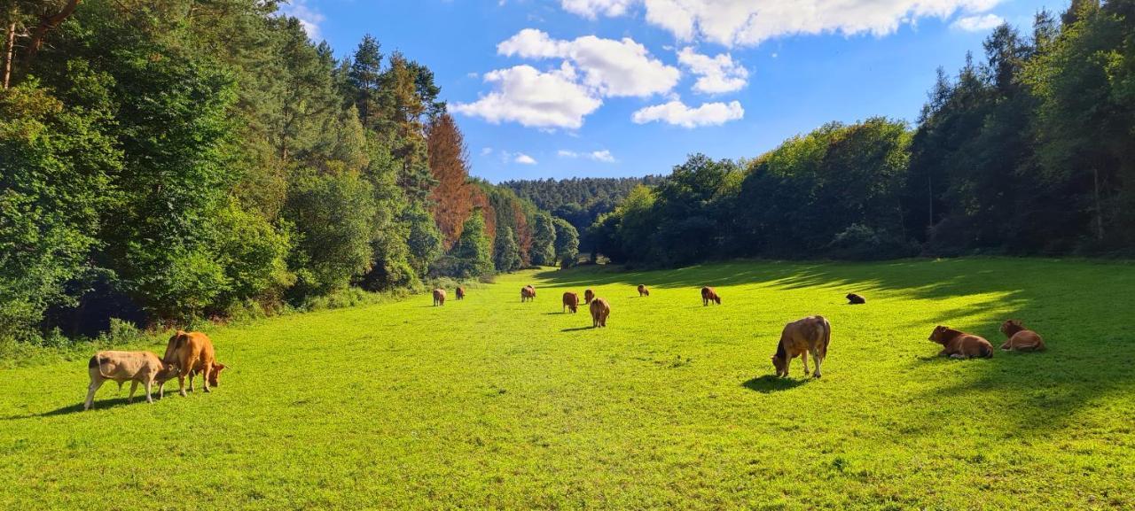 Eifelhof Mit Obstbaumwiese Нідеґґен Екстер'єр фото