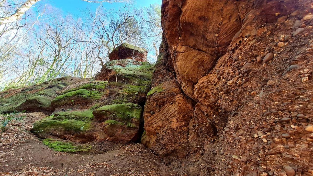 Eifelhof Mit Obstbaumwiese Нідеґґен Екстер'єр фото